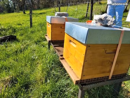 recherche terrain secteur ayse