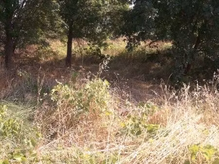 vend terrain agricole