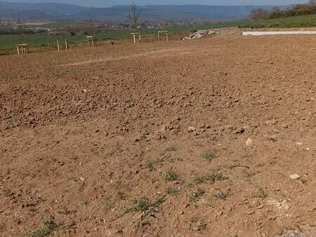 vend très beau terrain viabilisé