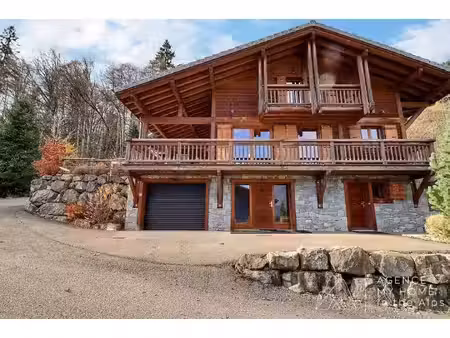 my home in the alp