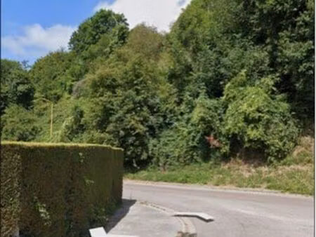 terrain boisé plusieurs essences