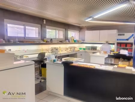 bureaux 390 m² épinal