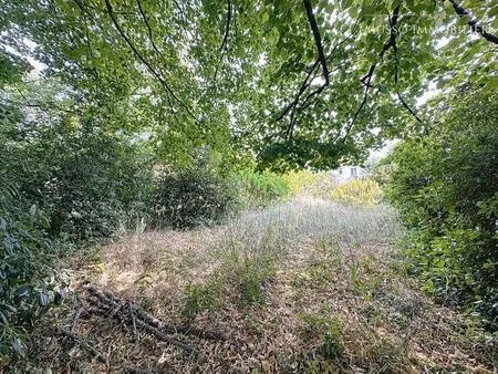 terrain constructible viabilisé à vendre