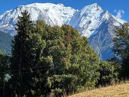 superbe terrain constructible de 4300 m2- vue sur le mont blanc