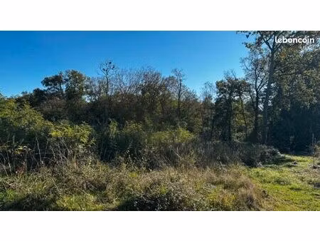 terrain 1 000 m² tresses