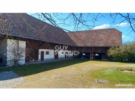 propriété 550 m² aspach le bas