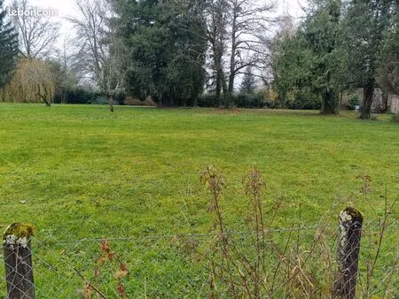 terrain constructible