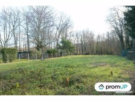 terrain 3 802 m² sauternes