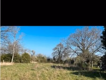 terrain constructible