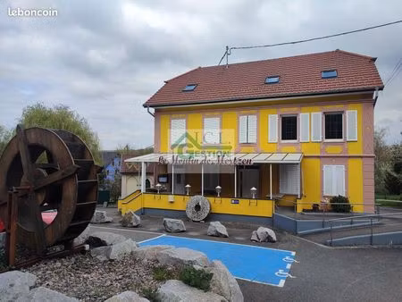 immeuble 370 m² mertzen