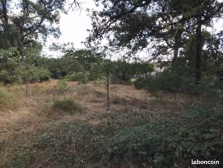 terrain constructible 3000m² luxey