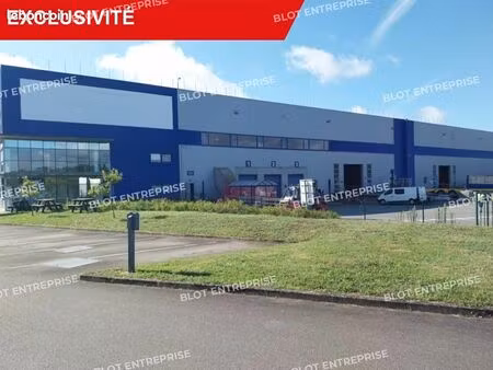 local logistique 19 015 m²