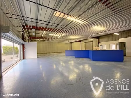 local commercial 720 m² sélestat