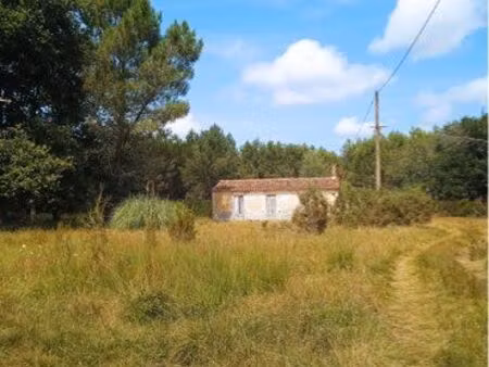 propriété naujac sur mer