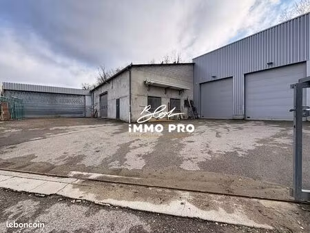 local 310 m² domarin