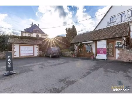 local 150 m² ribeauvillé