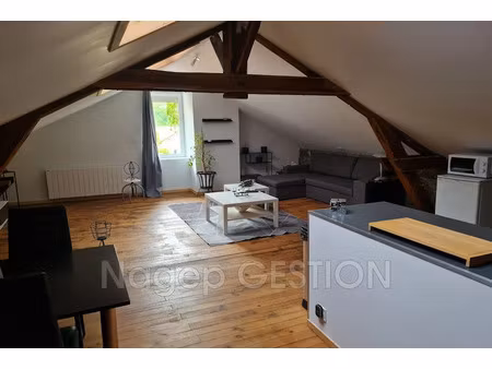 location meublée appartement 2 pièces 116 m² à thiers (63300)  600 €