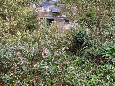 cabane de pêcheur  grange  terrain  forêt