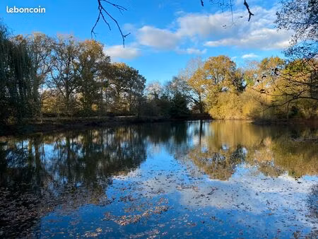 un étang de loisirs