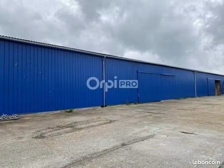 local d'activité 480 m²