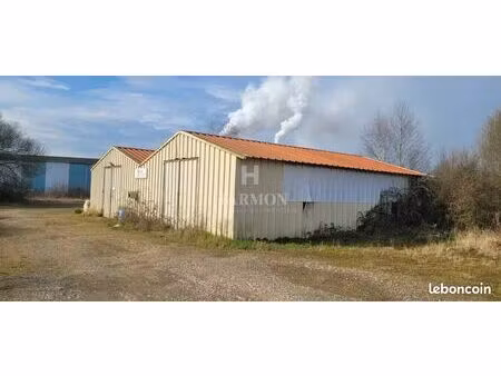 local 2640 m² tartas