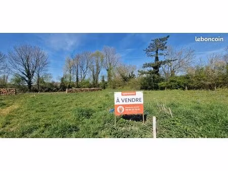 terrain 1 004 m² audembert