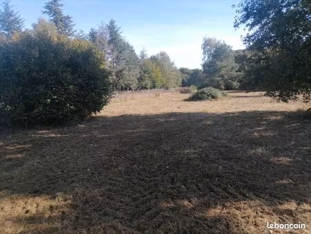 terrain constructible