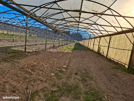 exploitation agricole sur saze