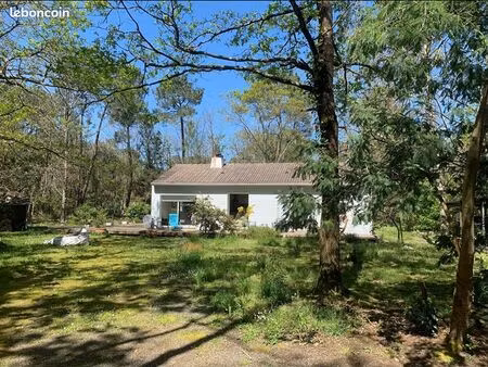 maison dans un espace de verdure  proche des commerces et des plages