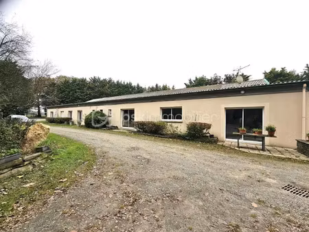 vente terrain 40000 m² à nozay (44170)  735 000 €