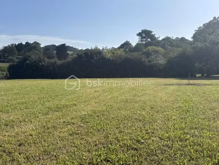 vente terrain 1161 m² à souraïde (64250)  185 000 €