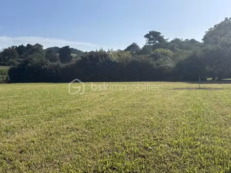 vente terrain 1161 m² à souraïde (64250)  228 000 €