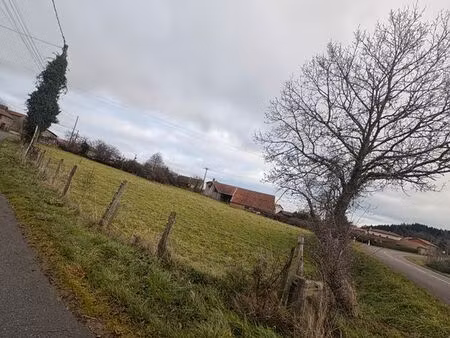 terrain 3230m2 saint martin la sauveté