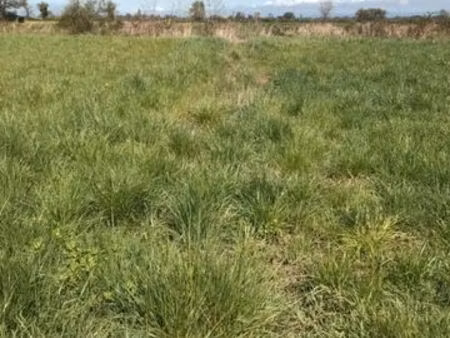 recherche jardin ou terrain