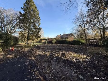 terrain 1168 m² nieppe