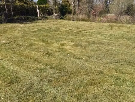 terrain constructible