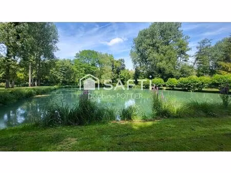 terrain de loisirs avec étang curé  drainé et terrassé