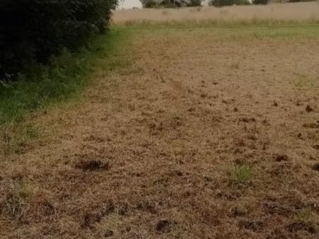 terrains constructibles hors lotissement – guiler-sur-goyen (29710)