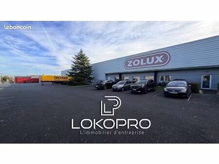 local 5584 m² cholet