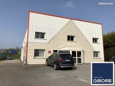 local d'activité 565 m²