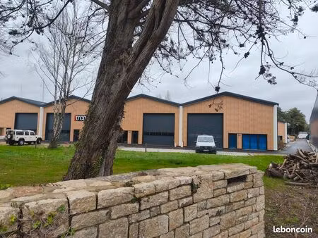 local 141 m2 saint philibert