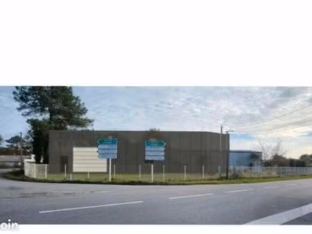 local artisanal 144m2