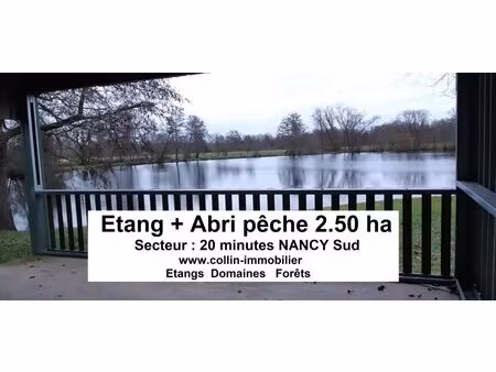 en vente terrain constructible 256 5 ares – 117 000 € |nancy