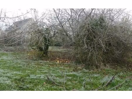 terrain coulommiers m² t- à vendre  66 000 €