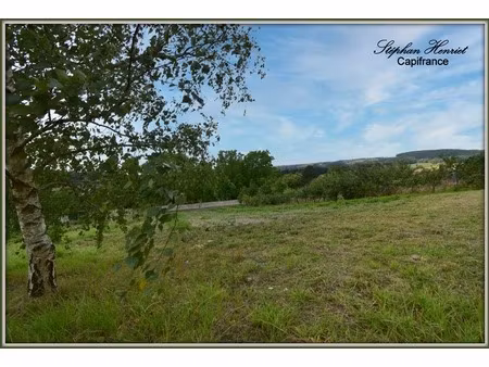 dpt ardennes (08)  à vendre olizy primat terrain - terrain de 4 770 00 m²