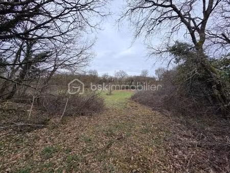 terrain à vendre