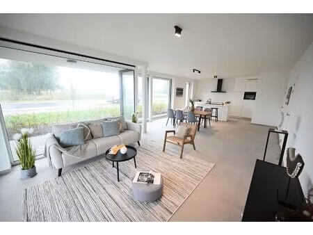 appartement à louer à hille 206 zwevezele (rbu85676)