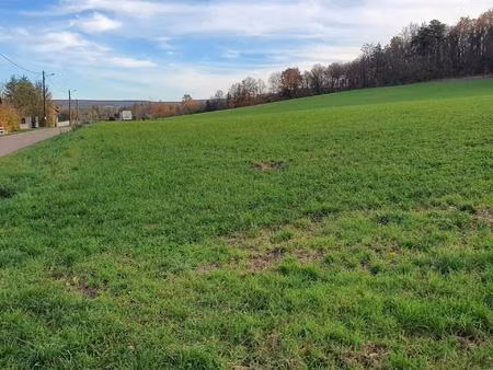 superbe terrain constructible de 700 m²