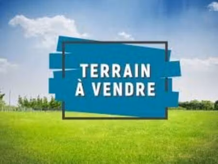 terrain constructible