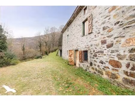 vente maison 5 pièces 145 m² le bosc (09000)
